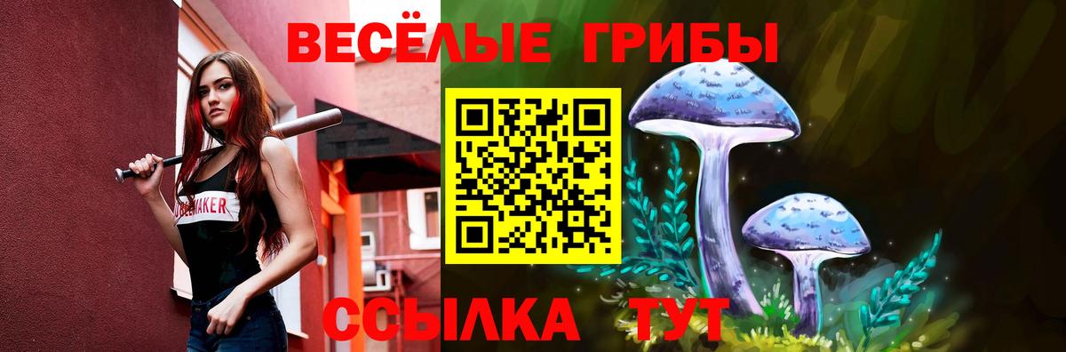 Галлюциногенные грибы Psilocybe  Вход с VPN  Железногорск 